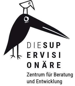 dsv logo